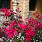 My Rialto Palace Pensionat 4*