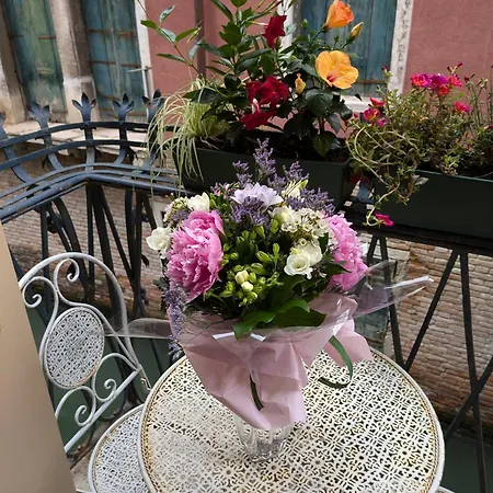 Pensionat My Rialto Palace