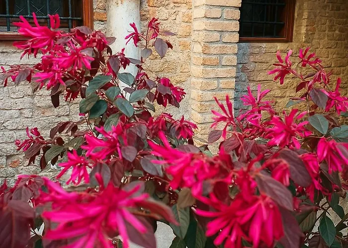 My Rialto Palace Pensión 3*