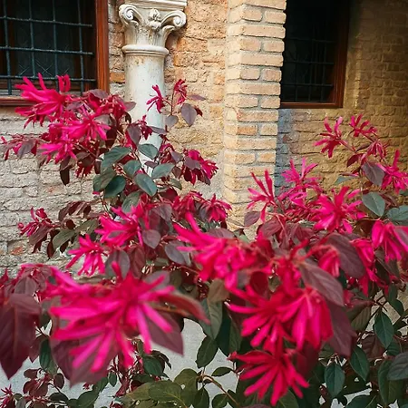 My Rialto Palace Maison d'hôtes 3*